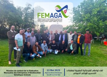 فيدرالية FEMAGA.. شريك استراتيجي لتطوير سلاسل تربية الماشية بالمغرب