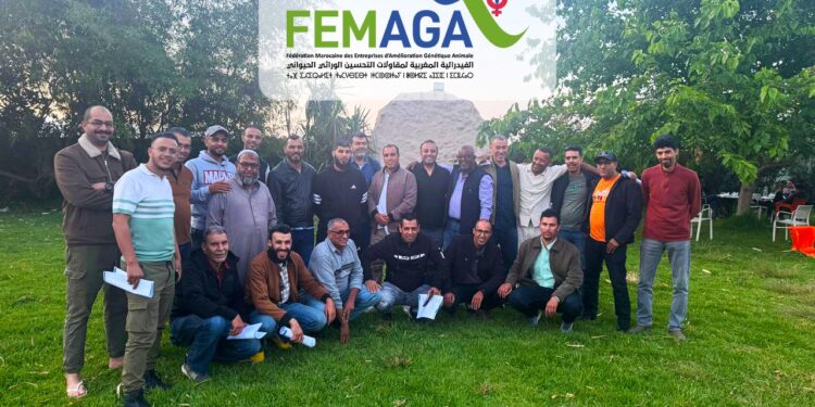 فيدرالية FEMAGA.. شريك استراتيجي لتطوير سلاسل تربية الماشية بالمغرب