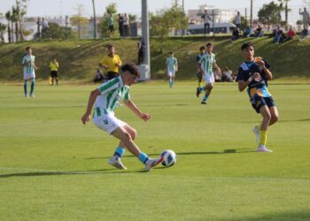 كأس ابن بطوطة