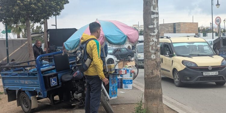 لأول مرة.. الشباب غير الحاصلين على شهادات سيستفيدون من دعم حكومي