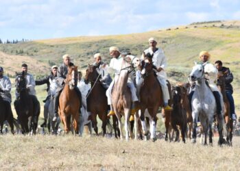 طنجة تحتضن ماطا 2025.. احتفال ربع قرن من التنمية على صهوة الفروسية والتراث المغربي الأصيل