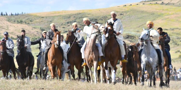 طنجة تحتضن ماطا 2025.. احتفال ربع قرن من التنمية على صهوة الفروسية والتراث المغربي الأصيل