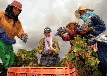 الفقر متعدد الأبعاد يتراجع في المغرب بنسبة 43% خلال عقد دون تقليص التفاوتات المجالية