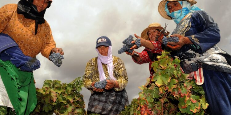 الفقر متعدد الأبعاد يتراجع في المغرب بنسبة 43% خلال عقد دون تقليص التفاوتات المجالية