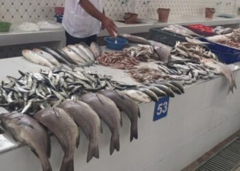 تدشين سوق للسمك من الجيل الجديد بميناء الحسيمة