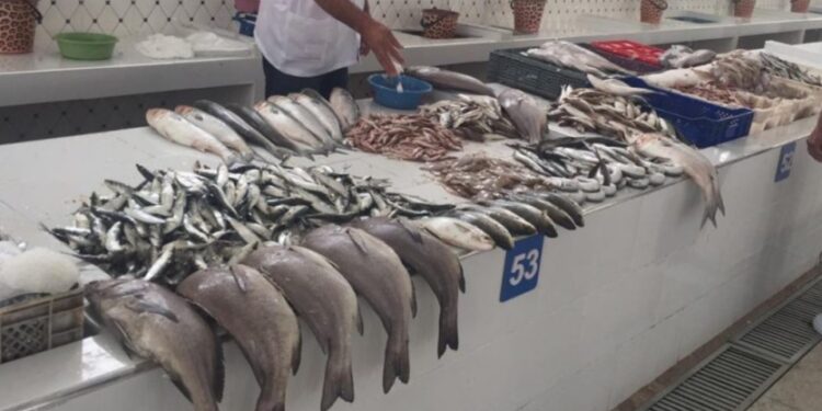 تدشين سوق للسمك من الجيل الجديد بميناء الحسيمة