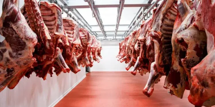 مهني يكشف أسباب ارتفاع أسعار اللحوم الحمراء مع حلول ذي القعدة