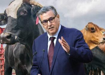 فضيحة الفراقشية تصل القصر الملكي و تدبير دعم الفلاحين أصبح بيد وزارة الداخلية