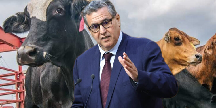 فضيحة الفراقشية تصل القصر الملكي و تدبير دعم الفلاحين أصبح بيد وزارة الداخلية