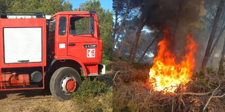 سلطات اكزناية تلقي القبض على شخص أضرم النار في غابة هوارة