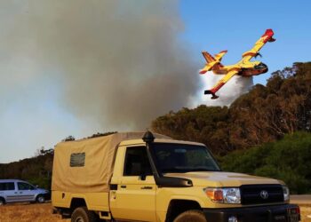 خطير .. حريق غابة هوارة يقترب من محطة الطاقة الحرارية