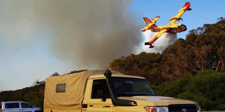 خطير .. حريق غابة هوارة يقترب من محطة الطاقة الحرارية