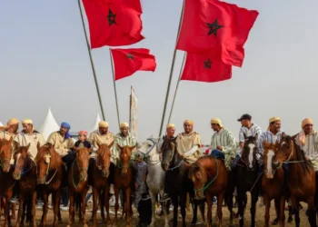 المهرجان الدولي “ماطا” للفروسية يحتفي بربع قرن من الازدهار