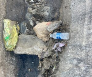 مخلفات مجزرة طنجة