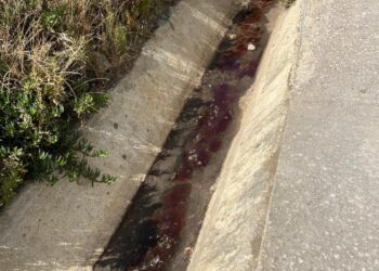 فضيحة بيئية تهز طنجة: مخلفات الذبيحة تُلقى في بحيرة سيدي حساين