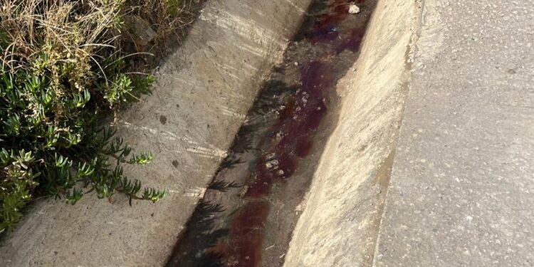 فضيحة بيئية تهز طنجة: مخلفات الذبيحة تُلقى في بحيرة سيدي حساين