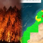 نشرة إنذارية جديدة: تحذير وطني من مخاطر حرائق الغابات
