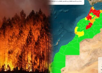 نشرة إنذارية جديدة: تحذير وطني من مخاطر حرائق الغابات