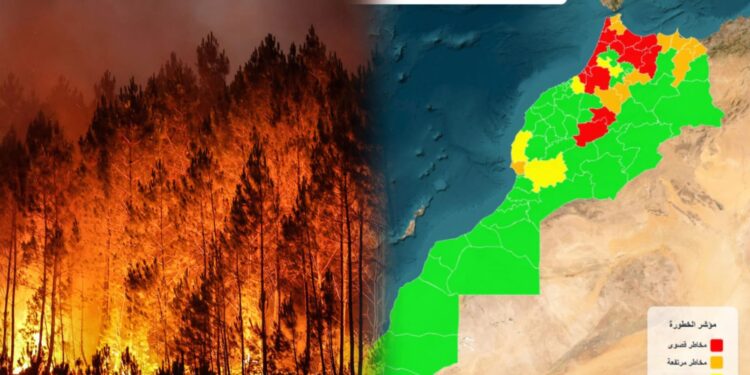 نشرة إنذارية جديدة: تحذير وطني من مخاطر حرائق الغابات