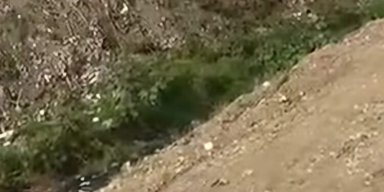 المياه العادمة تخترق أحياء سكنية بطنجة مثيرة جدلا واسعا حول نجاعة التعمير