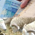 هذه قيمة الدعم الجديد لتربية المواشي