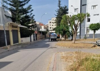 استغلال الموارد العامة لخدمة المصالح الخاصة: شبهة محسوبية تطال مسؤولاً عن تدبير المناطق الخضراء بطنجة