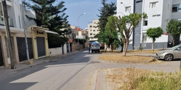 استغلال الموارد العامة لخدمة المصالح الخاصة: شبهة محسوبية تطال مسؤولاً عن تدبير المناطق الخضراء بطنجة