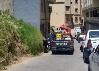 رش المبيدات بطنجة.. حملة موسعة تحت إشراف السلطات وتكنولوجيا الدرون تدخل على الخط
