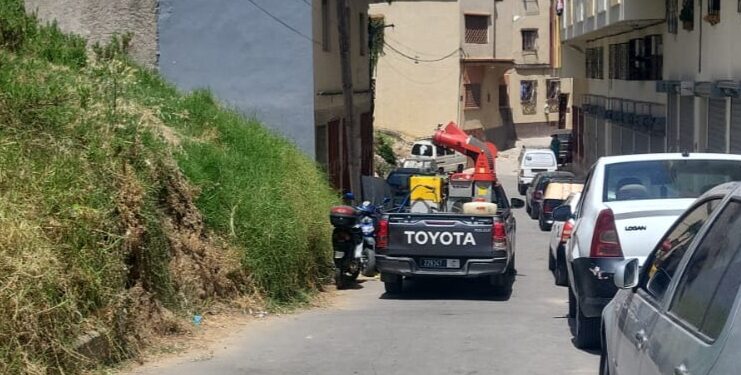 رش المبيدات بطنجة.. حملة موسعة تحت إشراف السلطات وتكنولوجيا الدرون تدخل على الخط