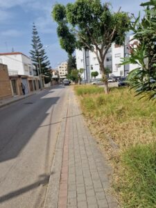 استغلال الموارد العامة لخدمة المصالح الخاصة: شبهة محسوبية تطال مسؤولاً عن تدبير المناطق الخضراء بطنجة