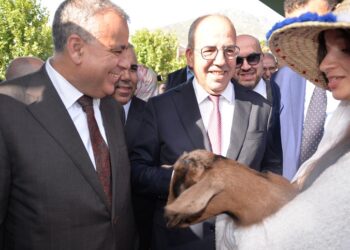 شفشاون: افتتاح المعرض الجهوي للماعز بحضور وزير الفلاحة أحمد البواري