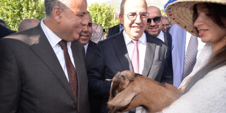 شفشاون: افتتاح المعرض الجهوي للماعز بحضور وزير الفلاحة أحمد البواري