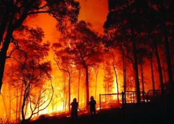 الوكالة الوطنية للمياه والغابات تحذر من حرائق مرتقبة بطنجة و بعض المدن