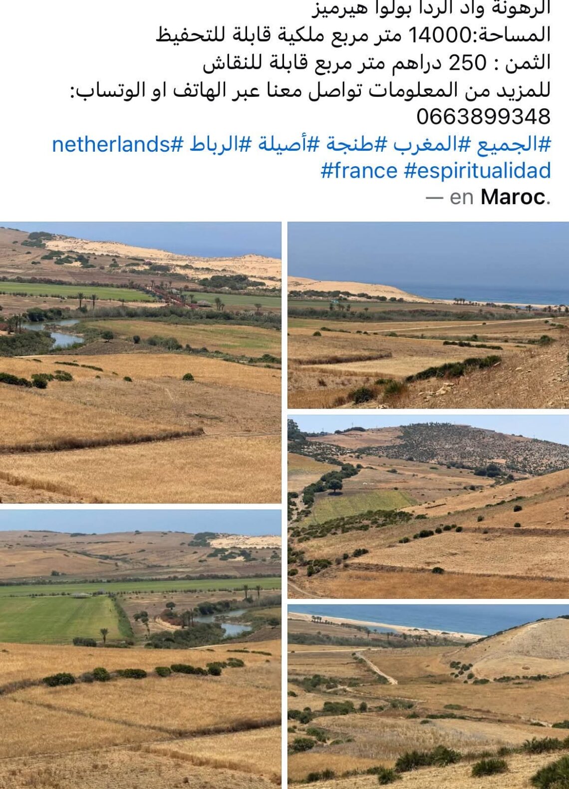 واسيني يسلط الضوء على فوضى أسعار العقارات بالمغرب مقارنة بأمريكا