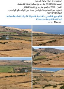 واسيني يسلط الضوء على فوضى أسعار العقارات بالمغرب مقارنة بأمريكا