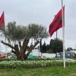 زيارة مرتقبة لولي العهد الأمير مولاي الحسن لطنجة