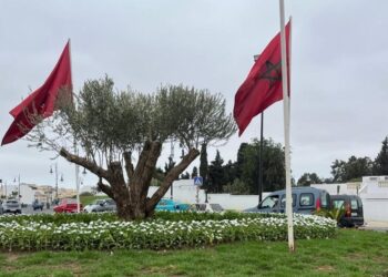 زيارة مرتقبة لولي العهد الأمير مولاي الحسن لطنجة