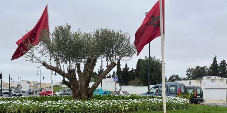 زيارة مرتقبة لولي العهد الأمير مولاي الحسن لطنجة