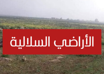 وزارة الداخلية تعتمد إجراءات جديدة لتنظيم رخص البناء على الأراضي السلالية