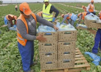 العمال الأجانب يعززون الاقتصاد الإسباني.. والمغاربة في صدارة التعداد