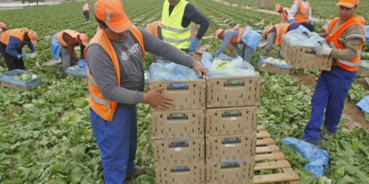 العمال الأجانب يعززون الاقتصاد الإسباني.. والمغاربة في صدارة التعداد