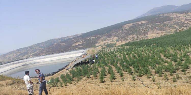 مصرع شاب عشريني صعقا بالكهرباء اليوم