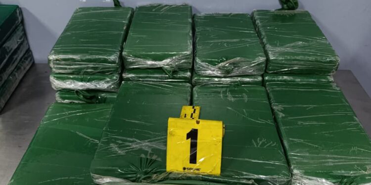 شبكة إجرامية عابرة للحدود الوطنية متورطة في محاولة تهريب شحنات من مخدر الكوكايين