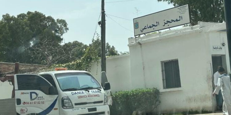 شركة قطر سيارات “محظوظة” تحت جناح جماعة طنجة