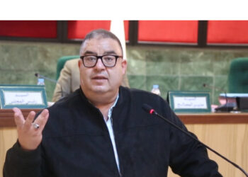 محمد غيلان: الملك غير راضٍ عن سياسة الانتقاء الانتخابي التي تنتهجها الأحزاب المغربية