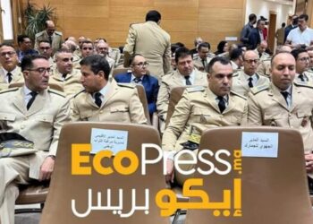 حركة إنتقالية بولاية طنجة تهم أربع رجال سلطة فقط ..