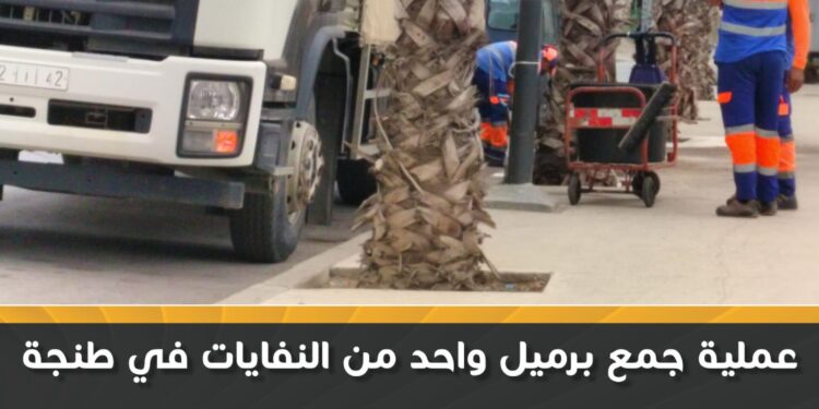 جمع النفايات
