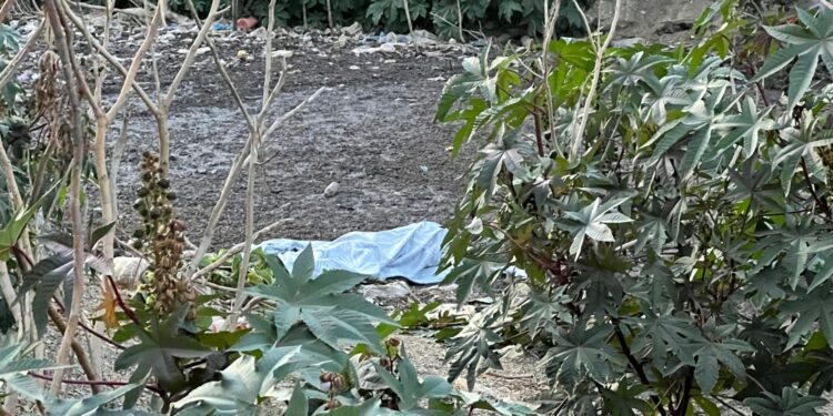 العثور على جثة رجل مسن بوادٍ في بئر الشيفاء بطنجة