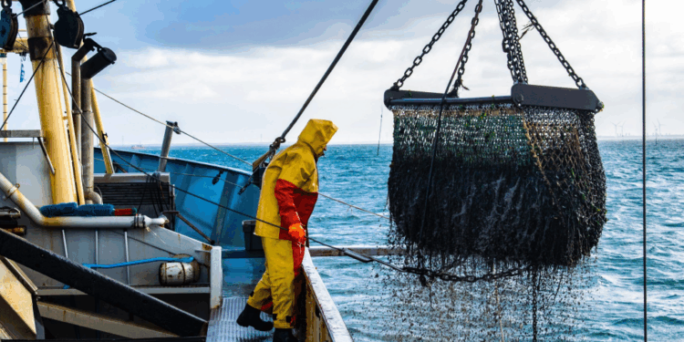 مفرغات الصيد البحري بموانئ المتوسط تناهز 9624 طنا