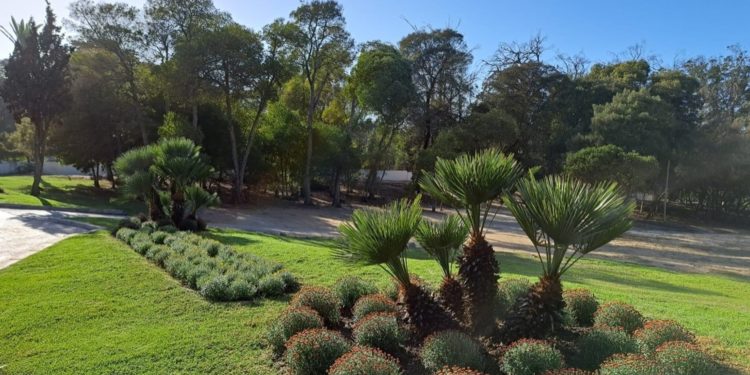 صفقات تأهيل المناطق الخضراء بطنجة مبرر مقنع لاحتجاجات جيل زيد